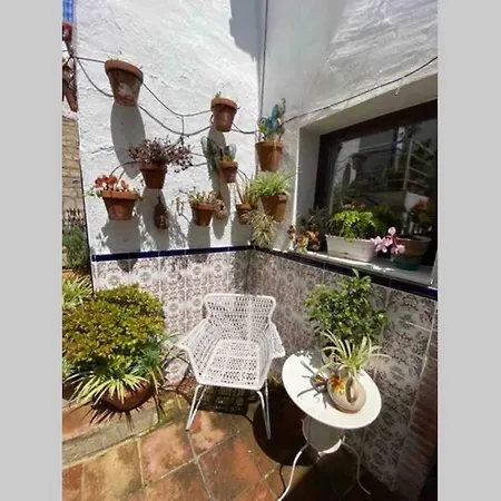 Apartment Buddhaloungeapartments 3 Buddhaloungeapartments #3 Primera Planta *