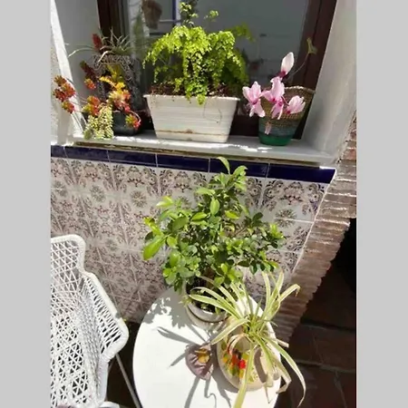 Buddhaloungeapartments 3 Buddhaloungeapartments #3 Primera Planta * Ronda