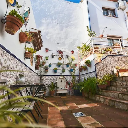 Apartment Buddhaloungeapartments 3 Buddhaloungeapartments #3 Primera Planta *