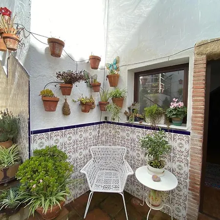Apartment Buddhaloungeapartments 3 Buddhaloungeapartments #3 Primera Planta